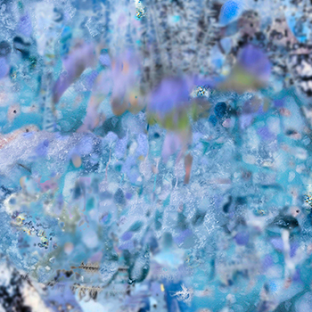 High Resolution Image